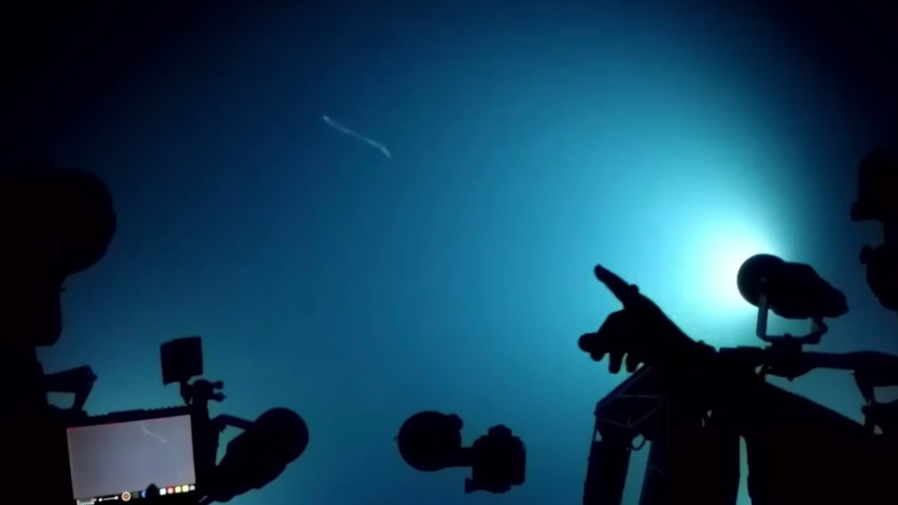 The Ocean Twilight Zone: Earth’s Final Frontier