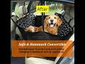 Life on the Road with My Dog! #dogcarseat #travelpetsitter #puppy #dogtravel