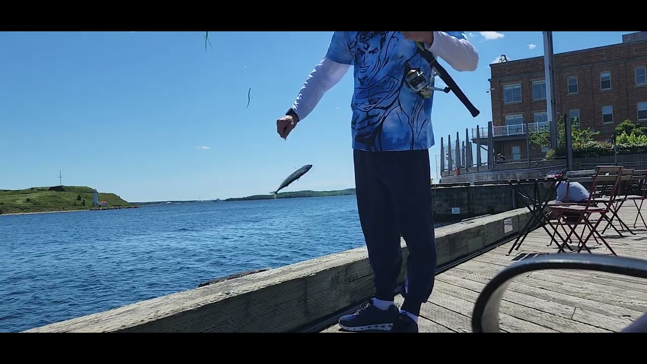 2022 Makereal Fishing Halifax Harbour