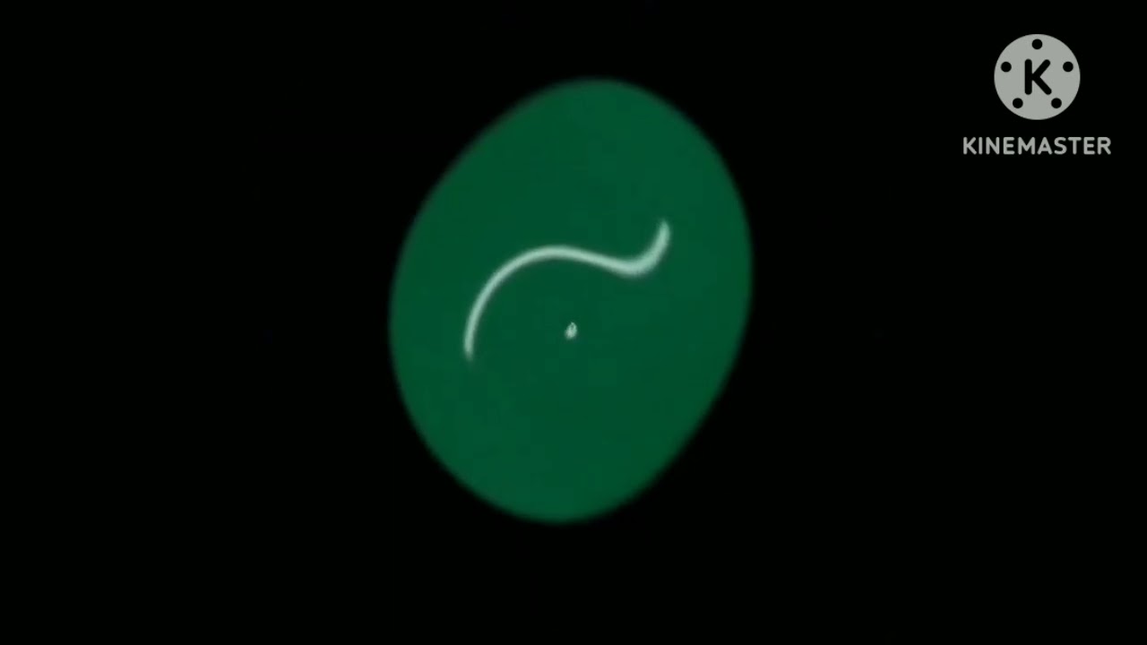 lg logo 1995 763ormulator v13 in center effects