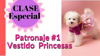 Clase # 1. Vestido  Princesa para Perrita o Gatita