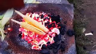 #Rain and #corn 😍😍