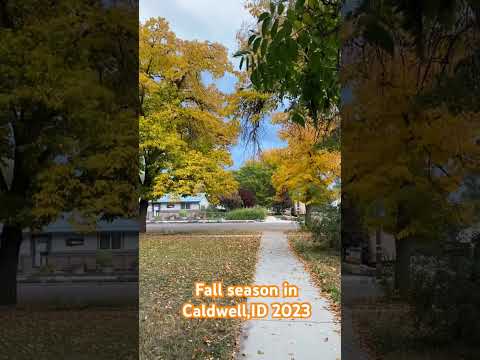 Fall in Caldwell,Idaho #fallseason #idaho #2023shorts #caldwell