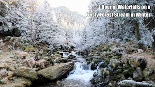 1 Hour of Waterfalls on a Frosty Forest Stream in Winter screenshot 5