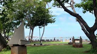 Công viên biển #hoasengarden #dulichvietnam 