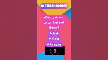 What Can You Catch but Not Throw? | Fun Riddle Challenge
