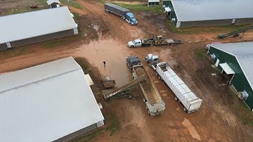 3 Days to haul out 1,326 tons of broiler litter