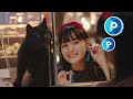 ���狼�� WESTER CM