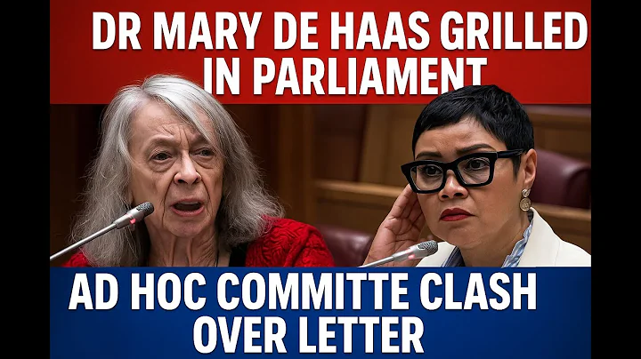 Dr Mary de Haas GRILLED in Parliament | “You Misled the Minister!” | Ad Hoc Committee Showdown