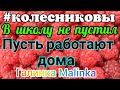 Колесниковы /Не пустил детей в школу, пусть работают дома /У Светки ПМС /Обзор Влогов /