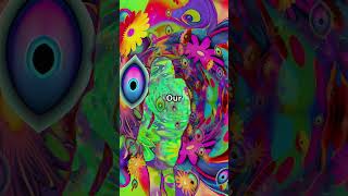 Are Dreams Portals to Another Dimension?