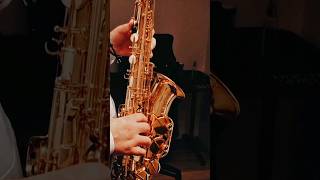 Andrei David - Ce folos de viata ta pribeaga #muzicacrestina #selmersax #instrumental #viralvideo