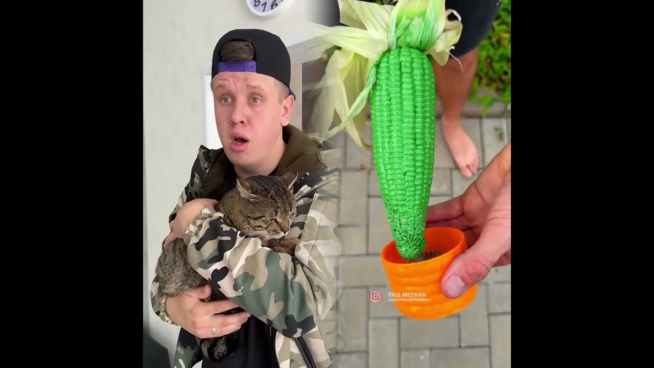 🤣👌👌👌2026 pov Must-Watch Crazy Clips Compilation #humor #fypシ #pov #fyp #foryou 😍😜 