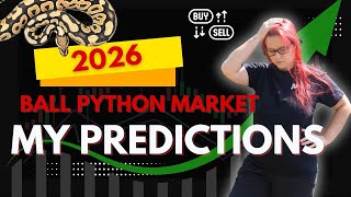 Famous My 2026 Ball Python Market Predictions Wealth