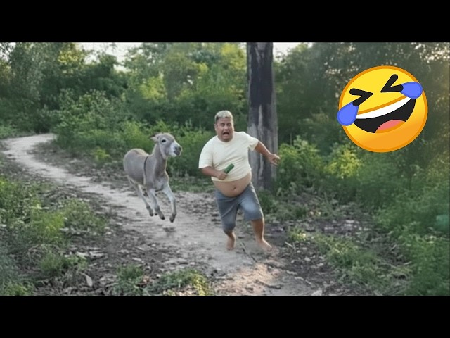 TRY NOT TO LAUGH 😆 Best Funny Videos Compilation