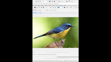 Tutorial menghapus background di coreldraw