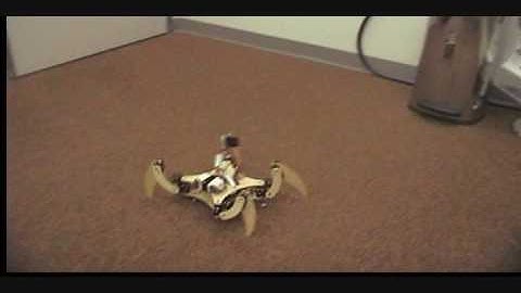 C.A.T. Initial Collision Avoidance #1