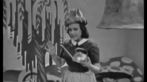 The Nancy Berg Show (Ziggy Zoggo)