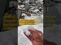 #Manali the season's first significant snowfall starting January 23, 2026.