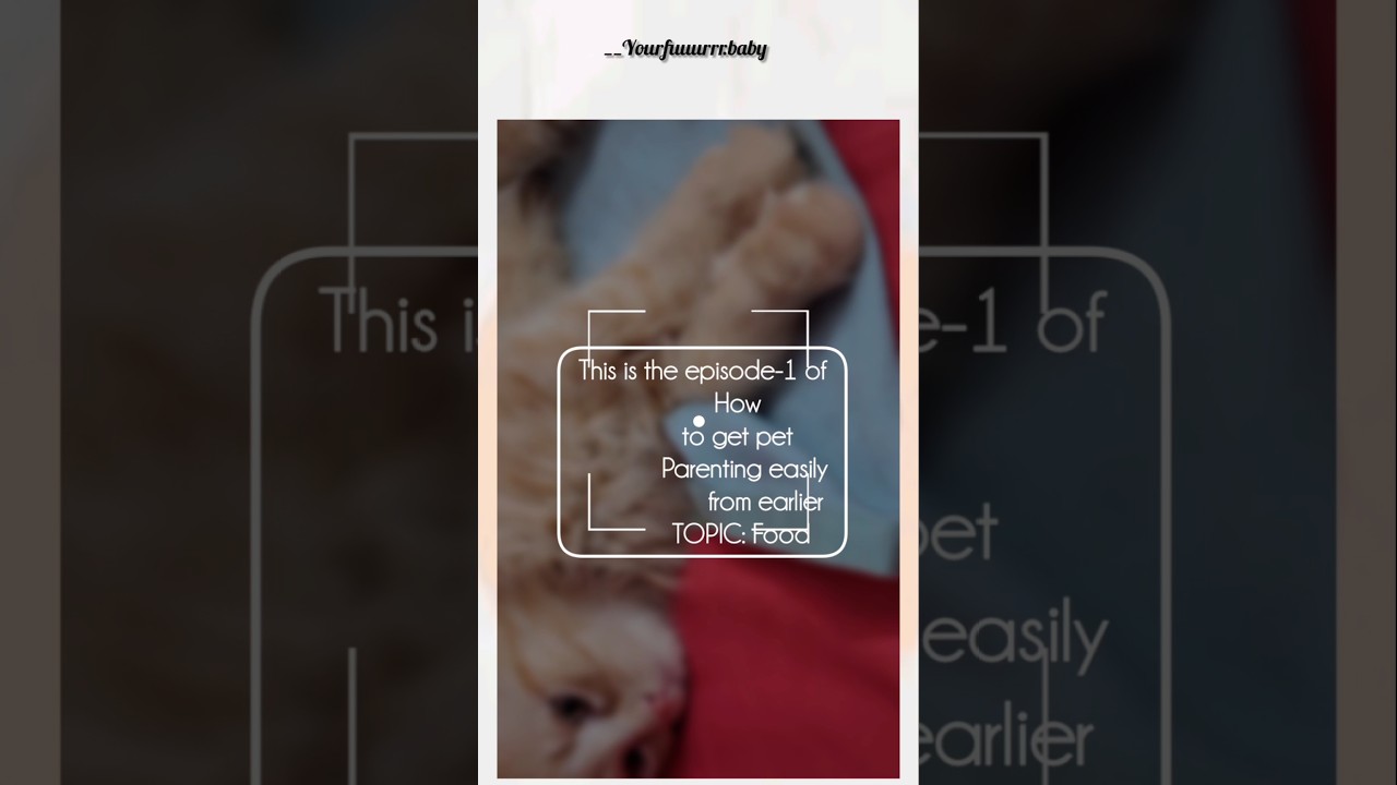 Awareness about Cat food 