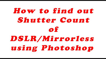 How to accurately find out Shutter Count of a DSLR / Mirrorless using Photoshop .