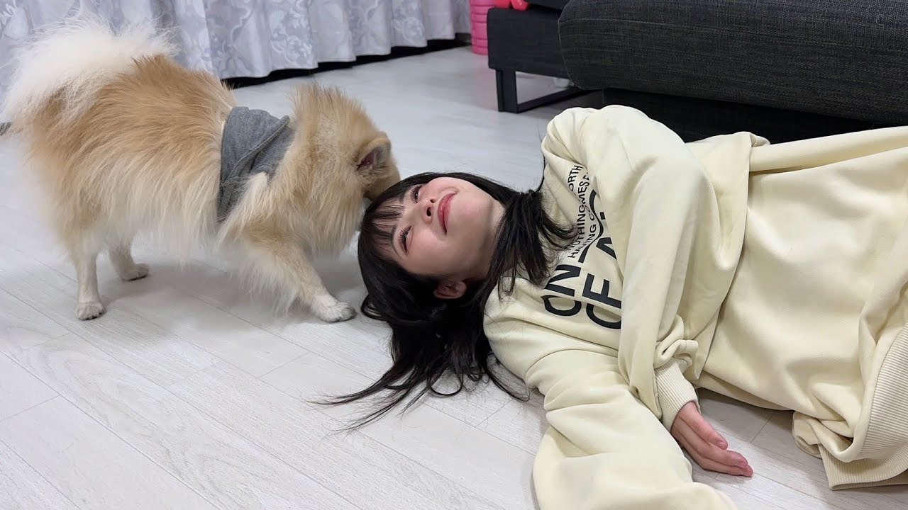 彼女とポメラニアンの戯れ【癒し動画】
