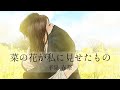 菜の花が私に見せたもの【平泉春奈公式チャンネル】What the rape blossoms showed me【The Official HarunaHiraizumi YouTube 】
