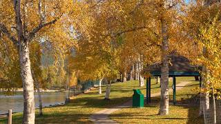 A Quiet Autumn Walk in Whitefish, Montana 🍂 | 4K