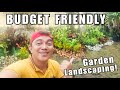 Budget friendly garden landscaping  day 2 of creative plant styling