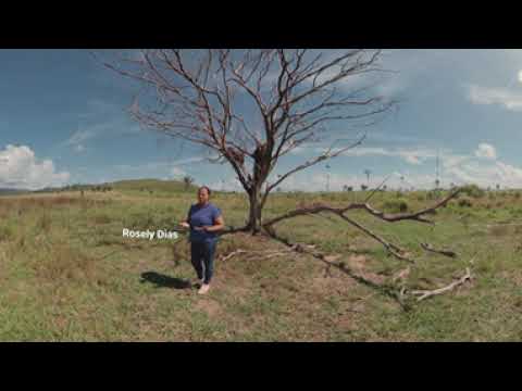 Plantando o futuro na Amazônia - Vídeo 360° - Uma realidade virtual pelas agroflorestas de cacau