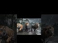 Jungle Race: Tiger vs Panther vs Lion 🐅🐆🦁 | Wild Animal Showdown! #animals #wildlife  #lionattack