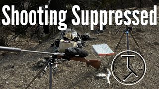MY FIRST SUPRESSOR! | Silencer Central Banish 30 Gold