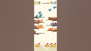 Bird Sort Color Level 460