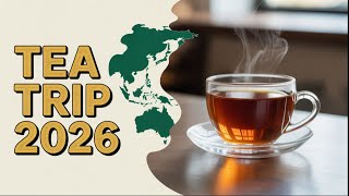 Next Tea Adventure Revealed: China Tea Trip Chitchat