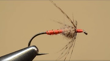 Fly Fishers International Bronze Award Fly Tying: Orange Partridge Soft Hackle