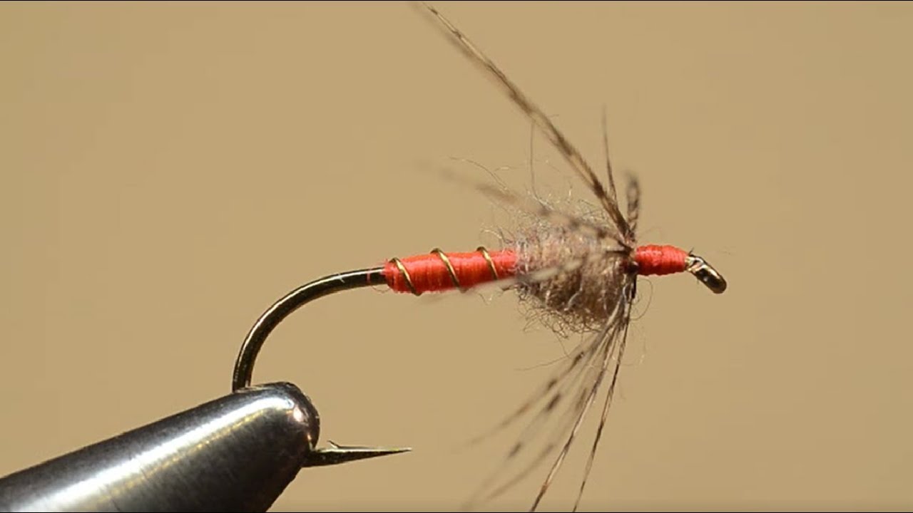 Fly Fishers International Bronze Award Fly Tying: Orange Partridge Soft Hackle