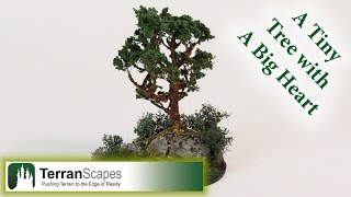 TerranScapes - Mini Tree Diorama
Support this channel and help keep it going. You make a difference with your contribution when you become a patron!
https://www.patreon.com/TerranScapes
Newsletter Mailing List - http://terranscapes.hosted.phplist.com/lists/
Information - http://terranscapes.com/index.php
Contact me: mike@terranscapes.com
Intro music:
Army of Darkness by Phoenix Music –
http://www.youtube.com/user/PhoenixMusic10?feature=watch TerranScapes - Mini Tree Diorama