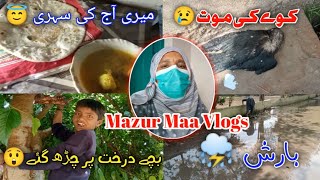 Ramzan Vlogs   | Mazur Maa