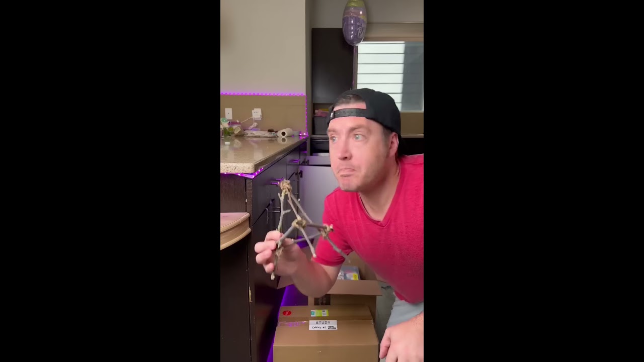 MOVING OUT OF OUR HAUNTED HOUSE CHECK COMMENTS FOR PART 2 Shorts