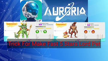 Tip and Trick Fast Make 5 Stars Lord Pet, Auroria a Playful Journey || English and Indonesia
