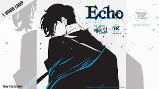 [1 HOUR LOOP] 더보이즈 (THE BOYZ) - Echo (나 혼자만 레벨업 OST)