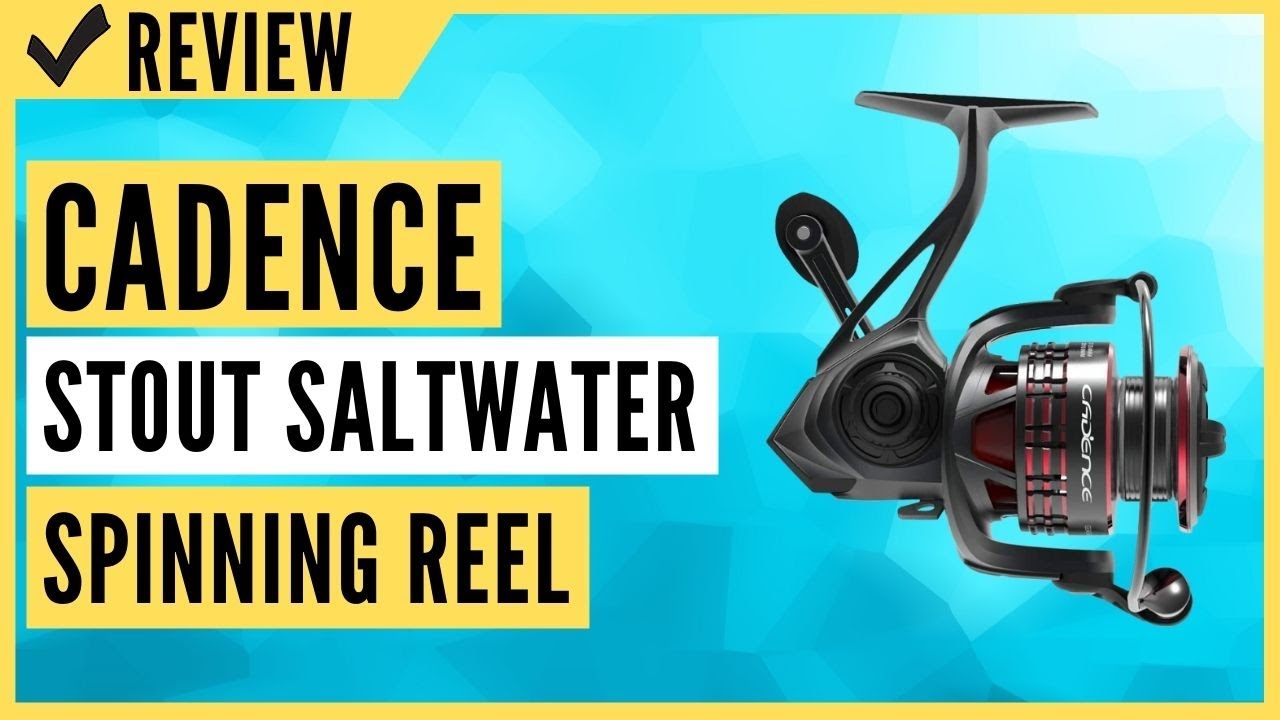 Cadence Stout Saltwater Spinning Reel Stout-3000 Review 