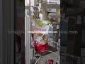 5kg Vegetable & Fruit Pouch Filling & Sealing Machine