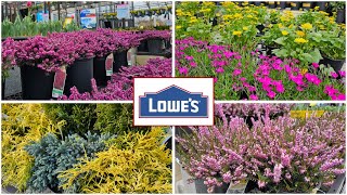 NEW ARRIVALS Lowes Garden Center Inventory April 2024 New Arrivals: Shrubs, Perennials & Trees