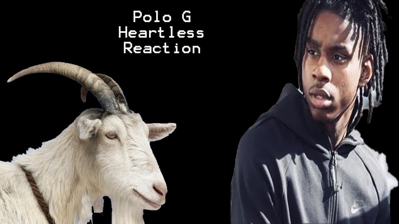 Polo G - Heartless ft Mustard reaction