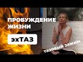 эхТАЗ: Пробуждение жизни