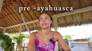 My pre-ayahuasca thoughts.