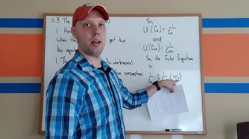 The Real Business Cycle Model II