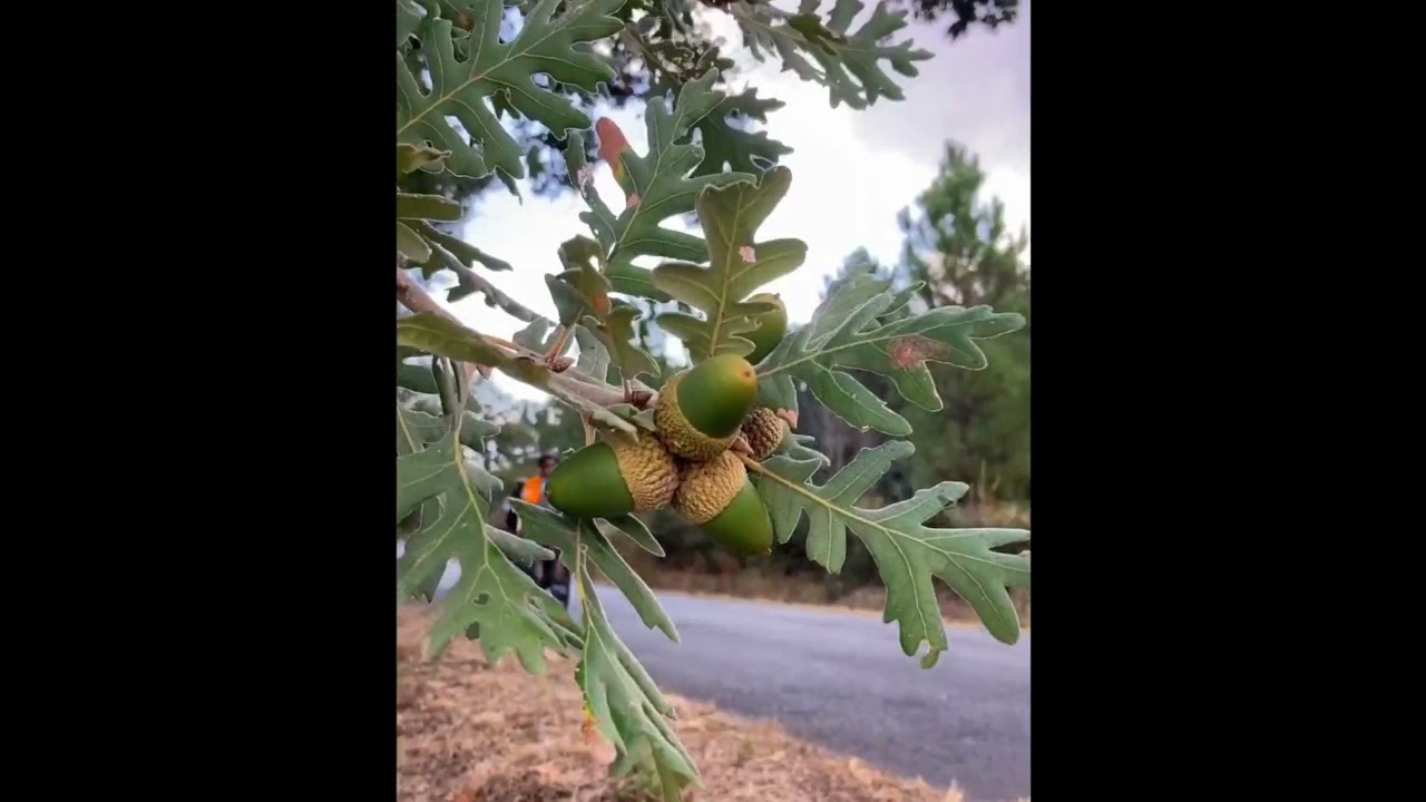 Cycling in Alentejo, Portugal