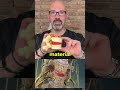 Cervical Disc Replacement EXPOSED: What Surgeons Don’t Tell You